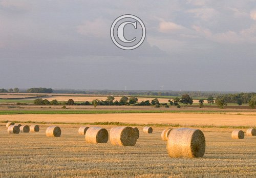 Round Staw Bales 2 DMOO46